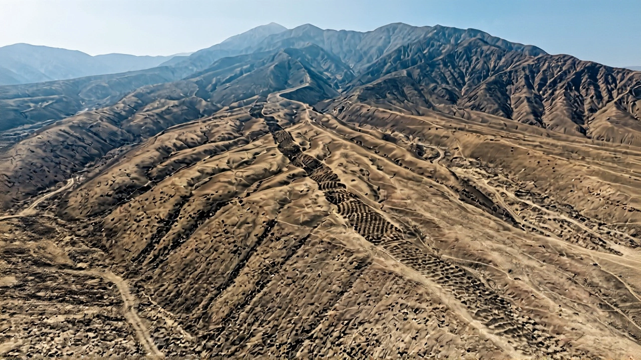 What This Means for Humanity